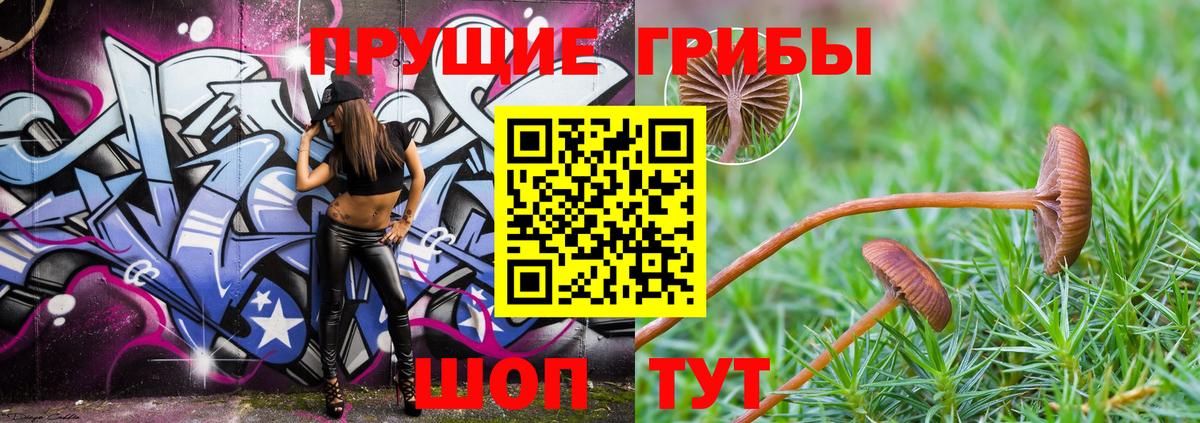 Красноуфимск  Галлюциногенные грибы ЛСД  Вход с VPN 
