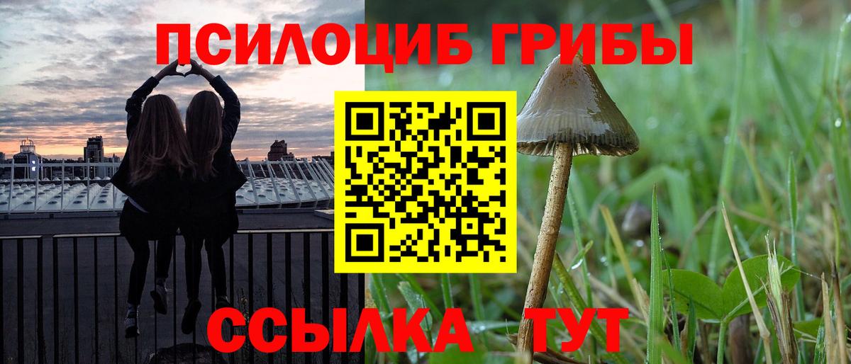 Псилоцибиновые грибы Magic Shrooms Красноуфимск